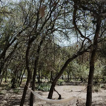 Glamp&wine By Cuturi Manduria