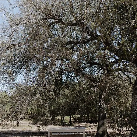 Lyxtält Glamp&wine By Cuturi