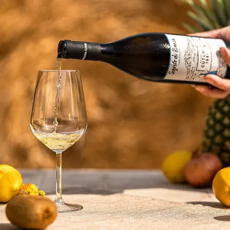 Lyxtält Glamp&wine By Cuturi *