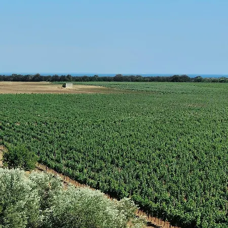 Glamp&wine By Cuturi Lyxtält Manduria