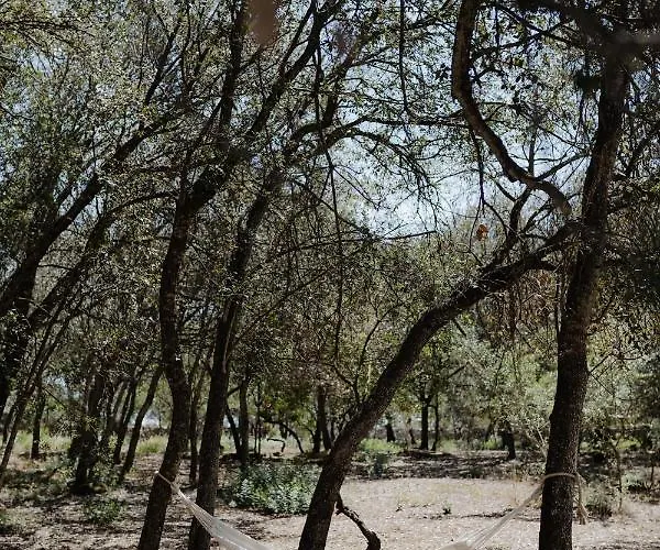 Glamp&wine By Cuturi ماندوريا