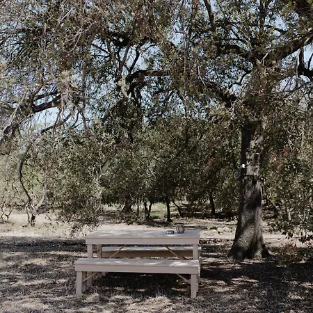 Glamping Masseria Cuturi * 마두리아