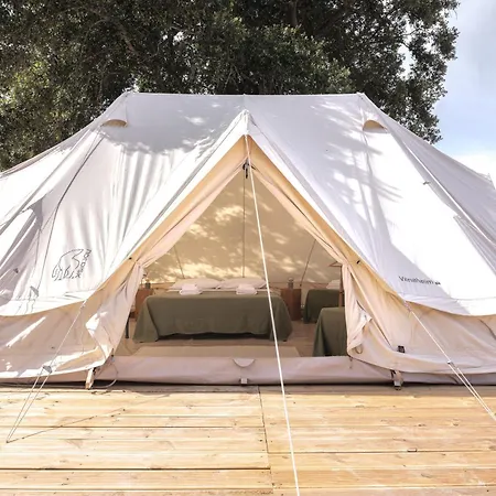 Glamping Masseria Cuturi Campo de lujo